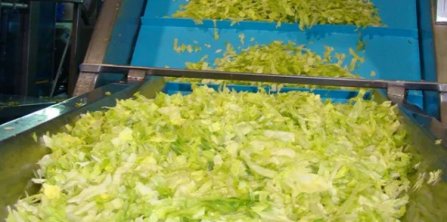 果蔬清洗設備輸送帶（dài）的選擇（zé）