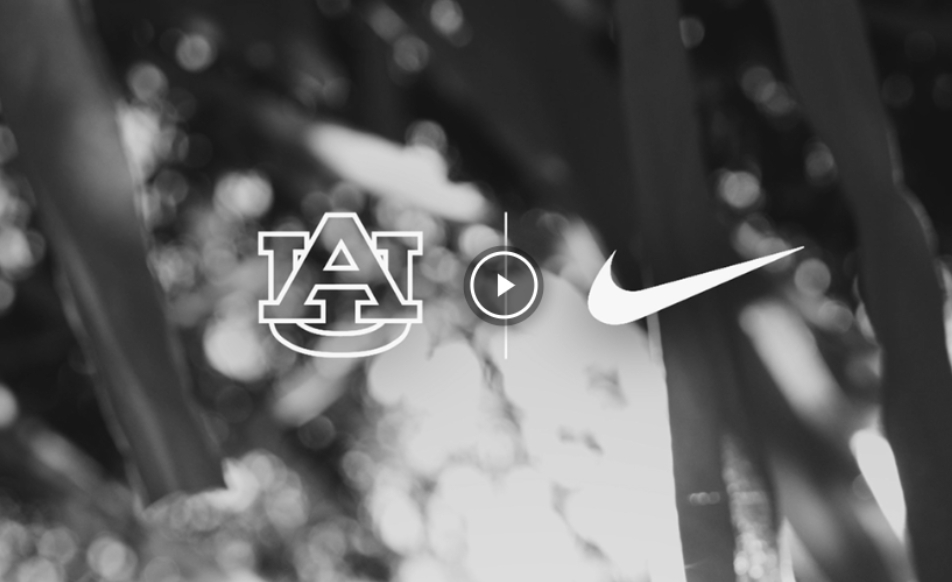 1712971897605671.png 13b2188f9208b4a050d2483d7ba767c.png