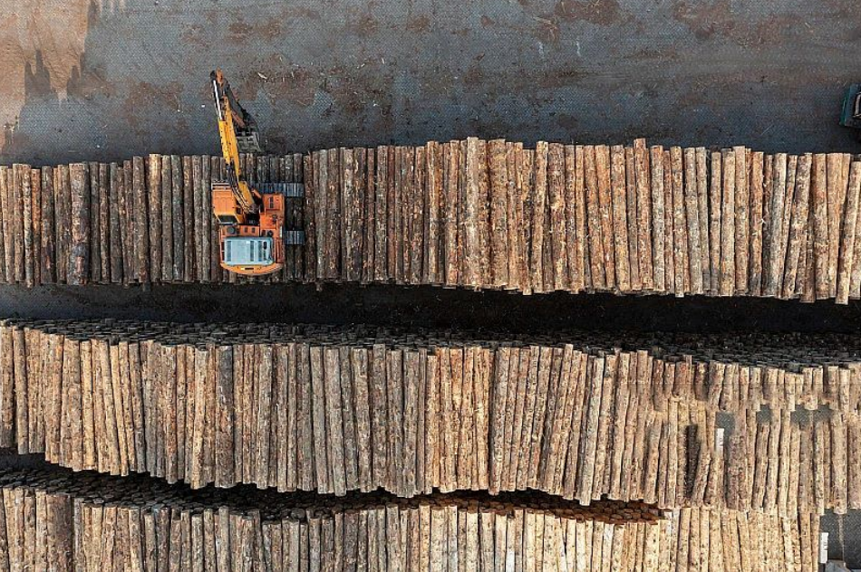 1740708669737415.png 1740708669737415.png