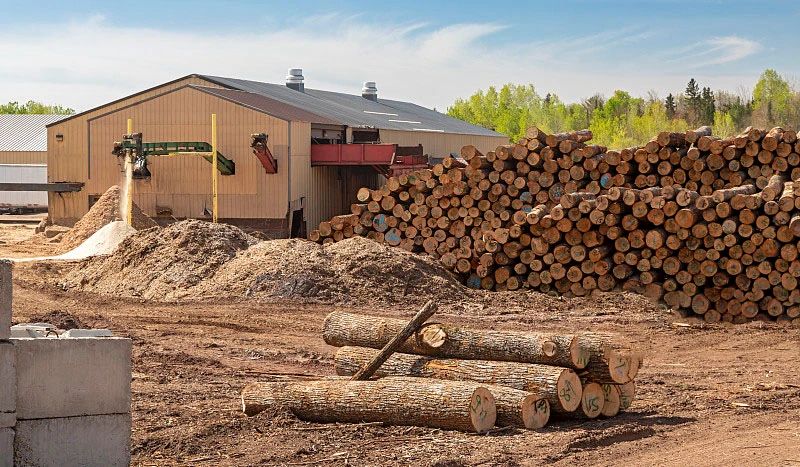 原木進口量跌（diē）到穀底，價格也撐不住了！中國原木進口市場經曆了什麽？