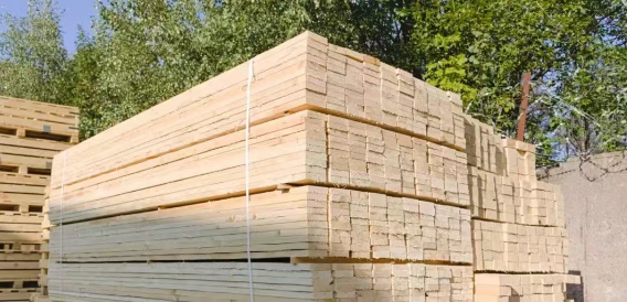 1741053853536422.png 1741053853536422.png