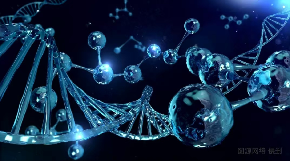 鐵氟龍輸送帶為何這麽受歡迎？讓（ràng）我們一起探索（suǒ）它的奧秘吧！！